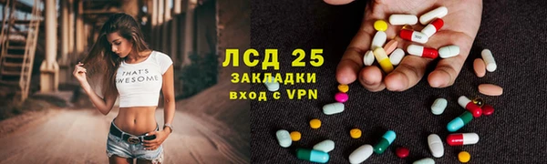 сатива Аркадак