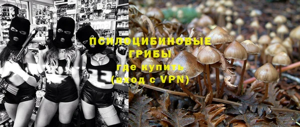 ALPHA PVP Алексеевка