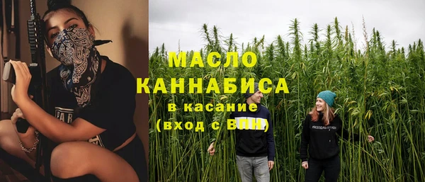 сатива Аркадак