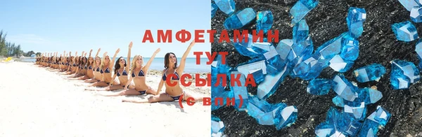 сатива Аркадак