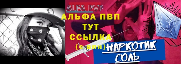 сатива Аркадак